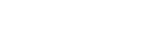 Logo Vidya